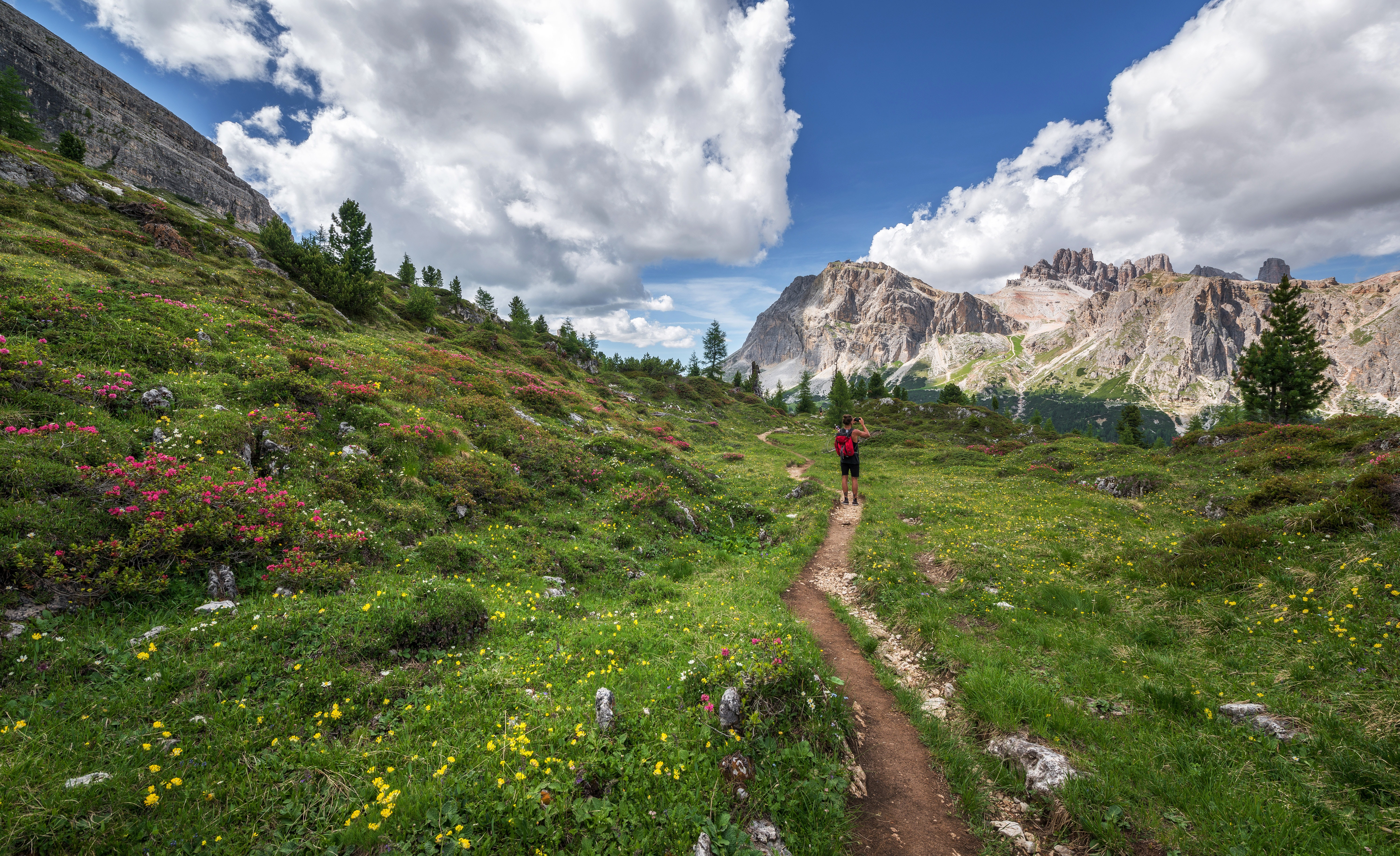 A main walks on a trail along beautiful greenery on a sunny day